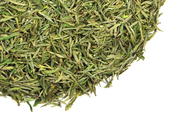 Folhas de chá verdes de processamento frescas, chá verde amarelo de folha solta da montanha