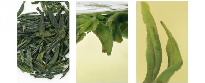 Anhui verde Liu um chá verde forte de Gua Pian melhora situações da indigestão