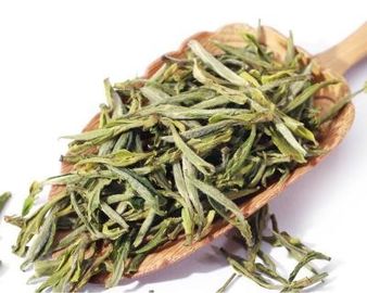 China Chá verde fraco de processamento fresco com restritamente - escolhido e selecionado fornecedor