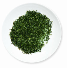 China Chá verde de Xin Yang Mao Jian da saúde, chá verde forte com efeitos reconfortantes fornecedor